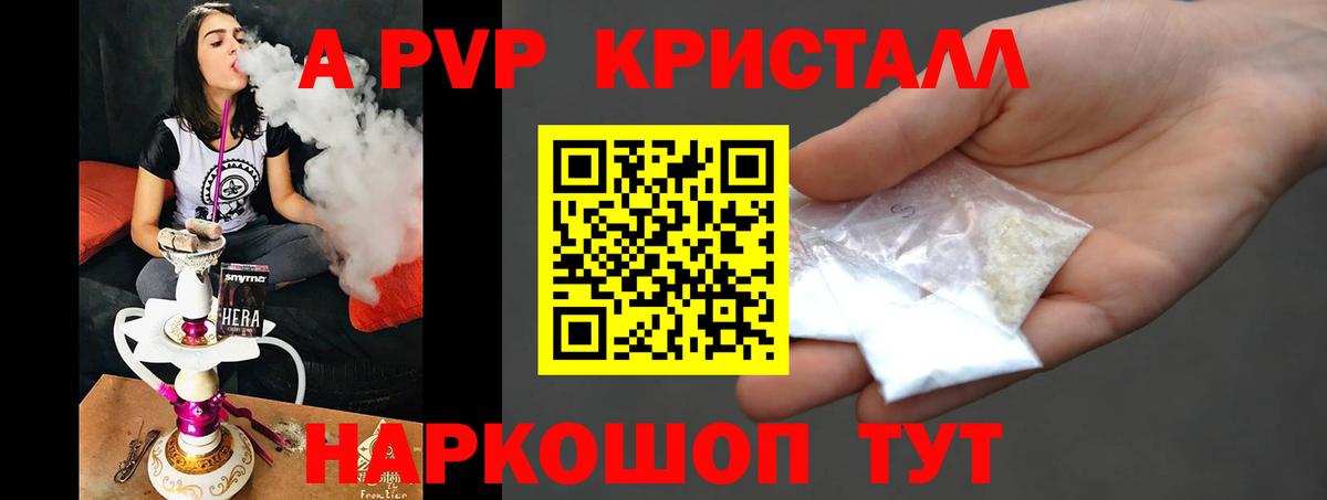 A-PVP СК КРИС Урус-Мартан