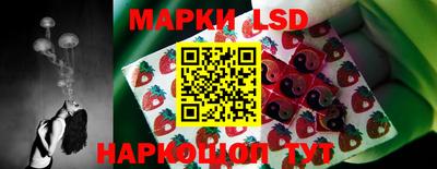 МДПВ Кунгур