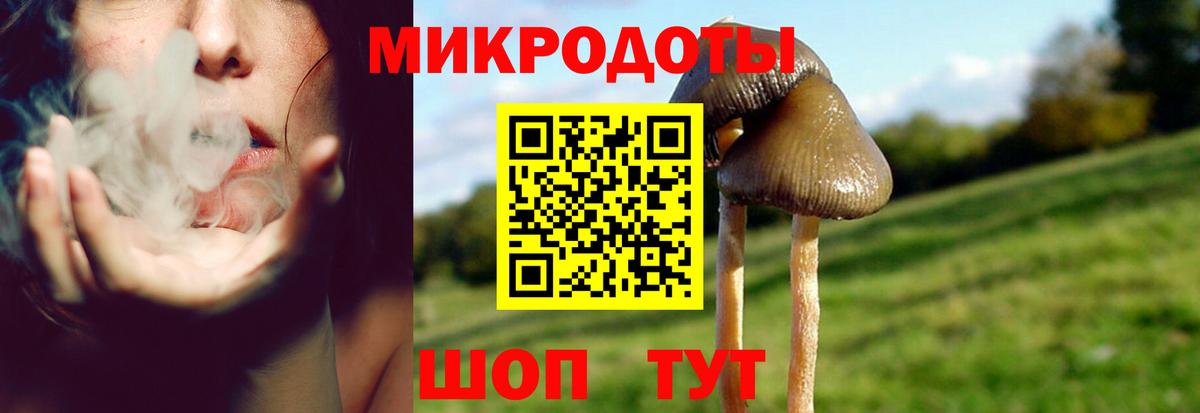 Псилоцибиновые грибы Magic Shrooms  Вход с VPN  Урус-Мартан 